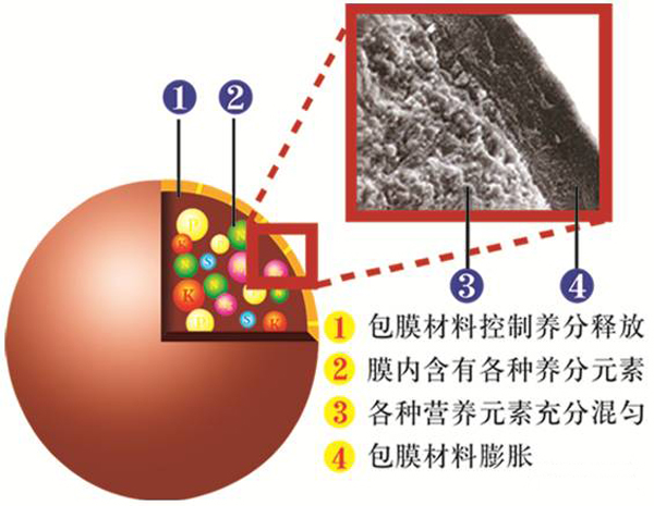 控釋肥究竟控了啥?